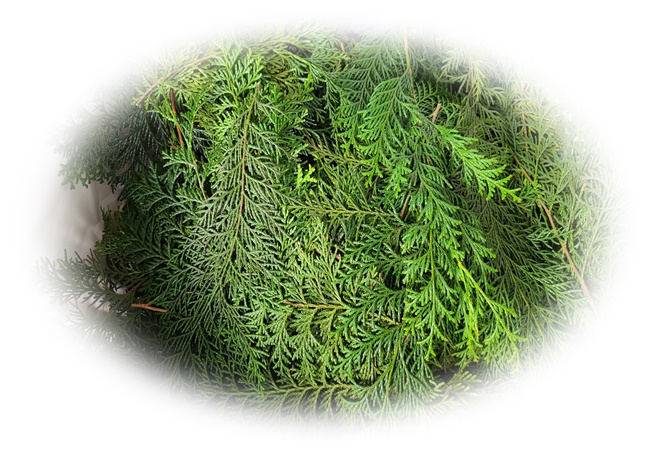 20230402_100139.jpg