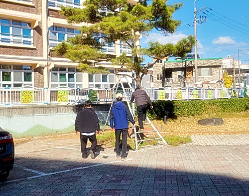 1733317435859-6.jpg