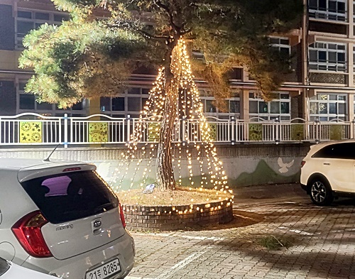 1733317423603-1.jpg