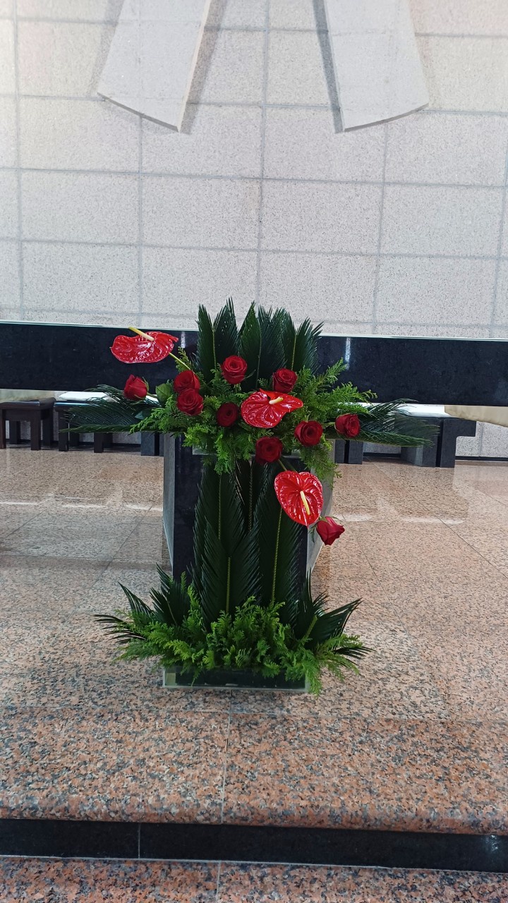 IMG_1271.jpeg
