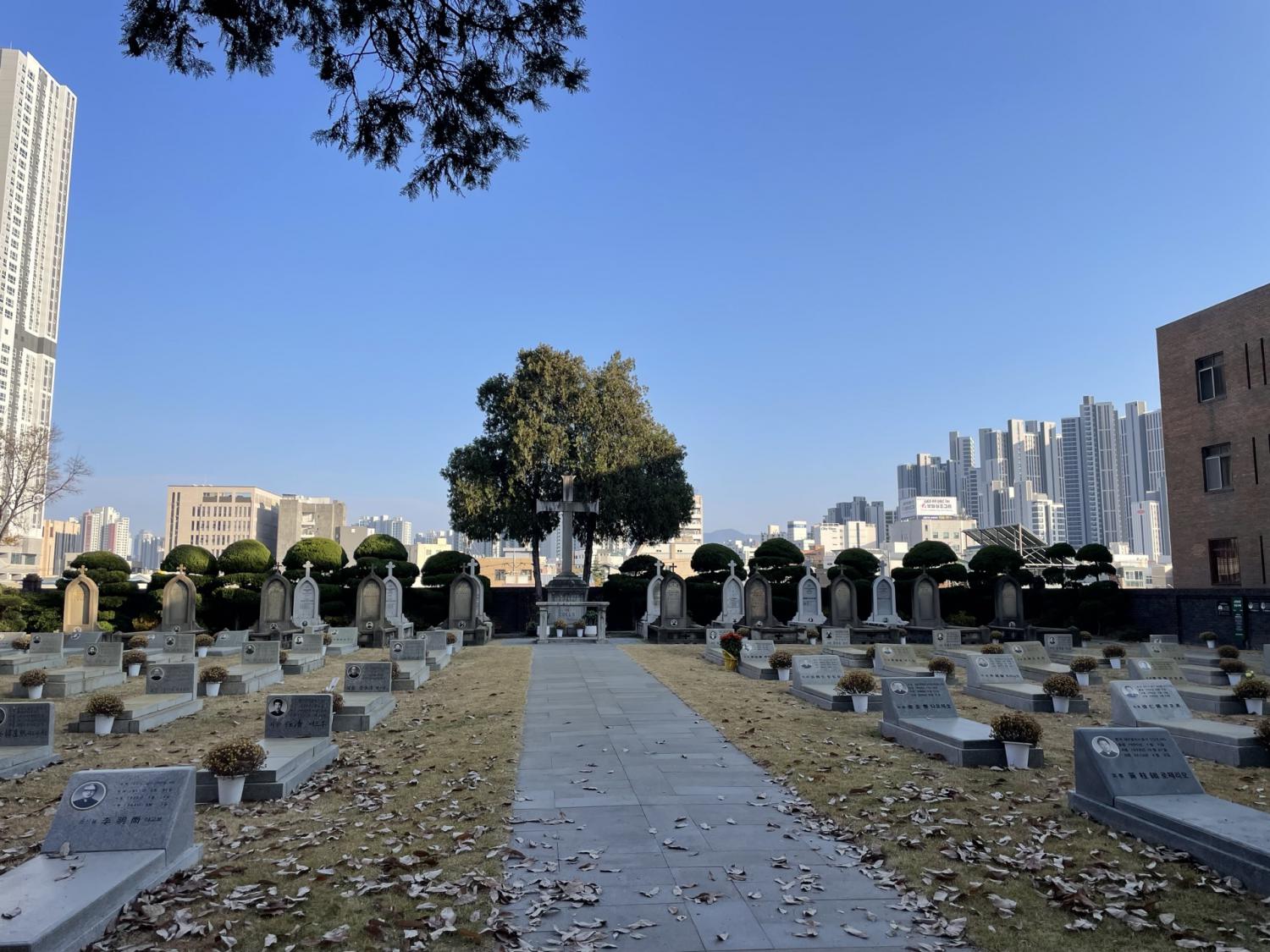 신안동성당 청년회-2025.11.23 청년레지오성지순례&교구청년대회-73659306418.jpg