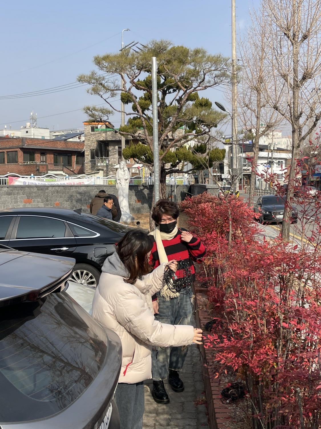 신안동성당 청년회-2026.01.10 트리장식철거봉사-74795846192.jpg